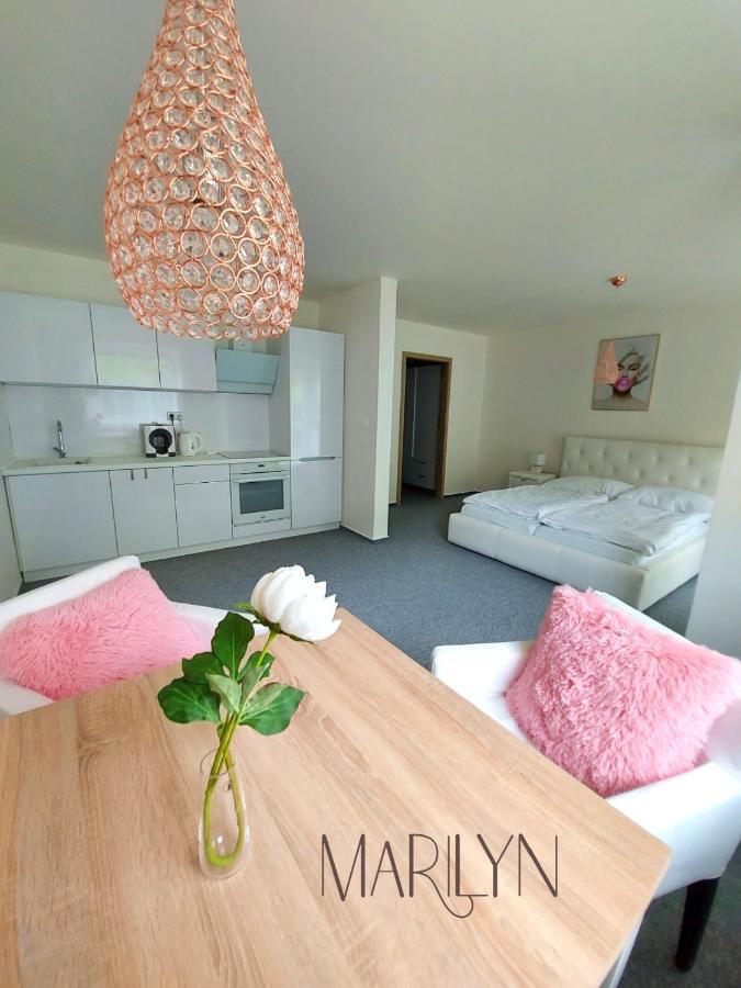 The Meetinka Apartments Jeseník Eksteriør billede